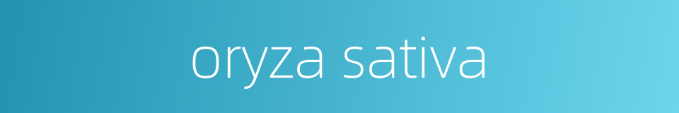 oryza sativa的同义词