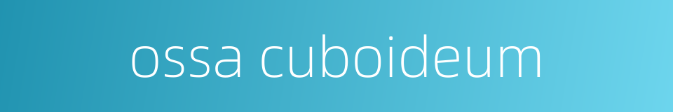 ossa cuboideum的同义词