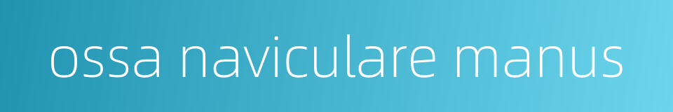 ossa naviculare manus的同义词