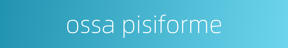 ossa pisiforme的同义词