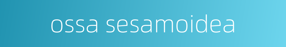 ossa sesamoidea的同义词