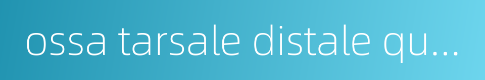 ossa tarsale distale quartum的同义词