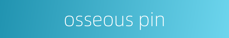 osseous pin的同义词