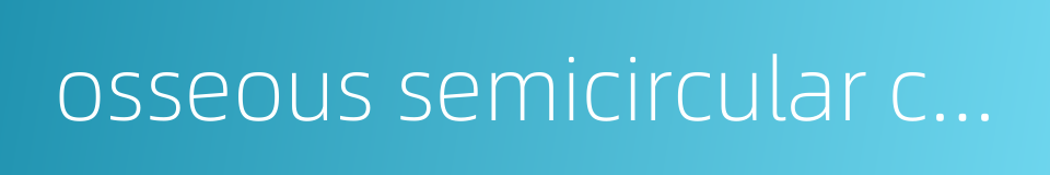 osseous semicircular canals的同义词