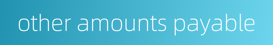 other amounts payable的同义词