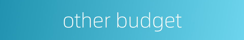 other budget的同义词
