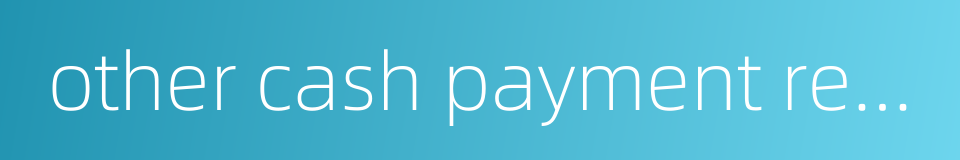 other cash payment related to operating activities的同义词