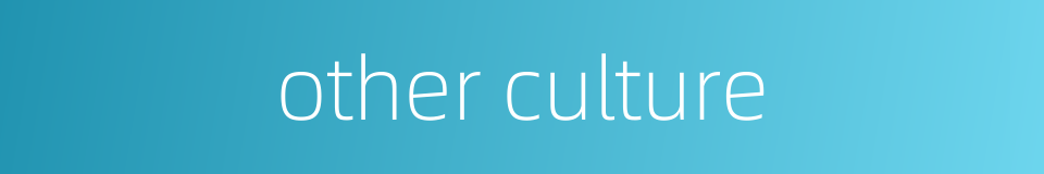 other culture的同义词