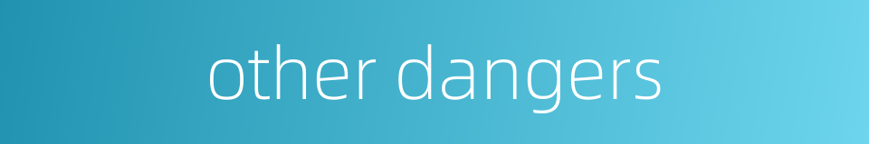 other dangers的同义词
