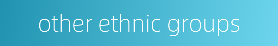 other ethnic groups的同义词