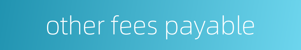 other fees payable的同义词
