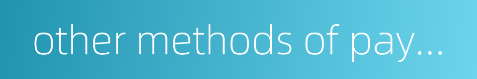 other methods of payment的同义词