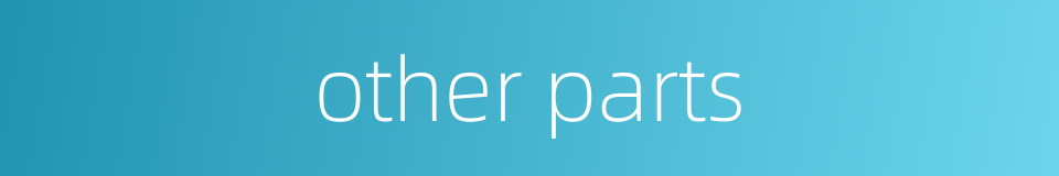 other parts的同义词