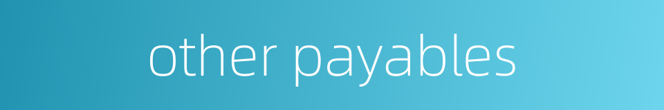 other payables的同义词