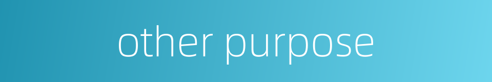 other purpose的同义词