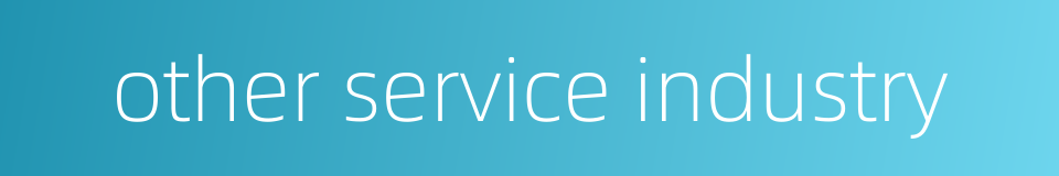 other service industry的同义词