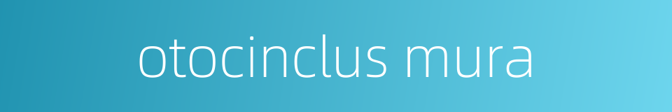 otocinclus mura的同义词