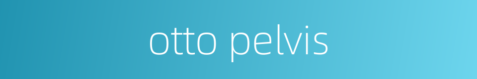 otto pelvis的同义词