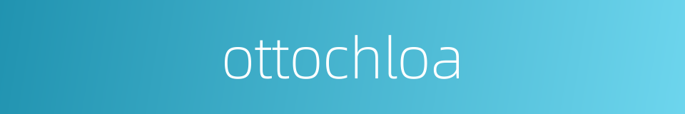 ottochloa的同义词