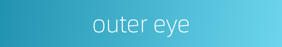 outer eye的同义词
