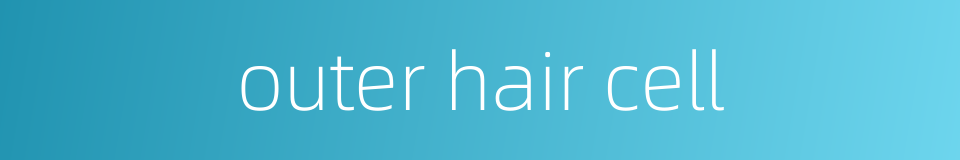 outer hair cell的同义词