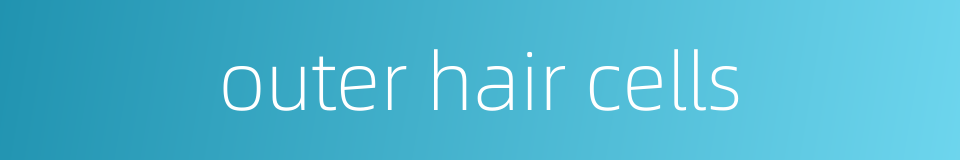 outer hair cells的同义词