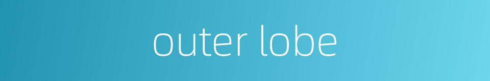 outer lobe的同义词