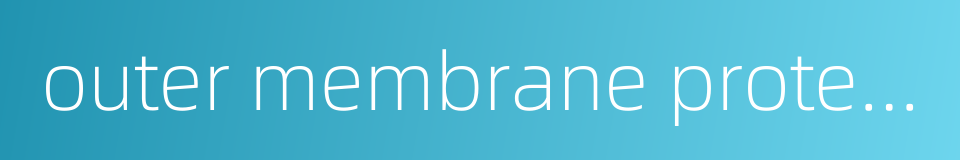outer membrane protein的同义词