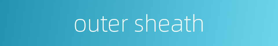 outer sheath的同义词