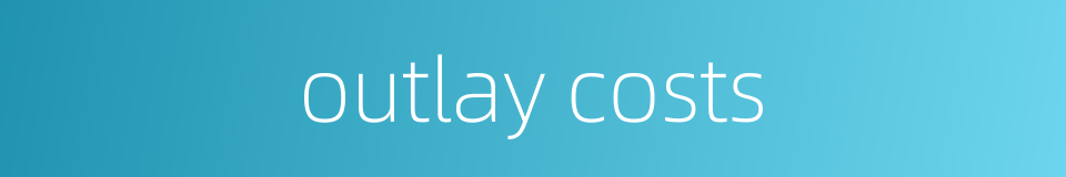 outlay costs的同义词