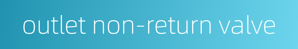 outlet non-return valve的同义词
