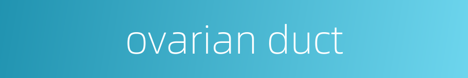 ovarian duct的同义词