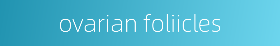 ovarian foliicles的同义词