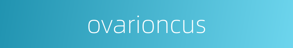 ovarioncus的同义词