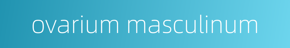ovarium masculinum的同义词