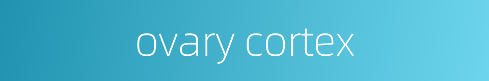 ovary cortex的同义词