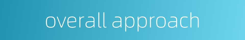 overall approach的同义词