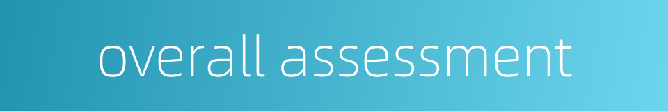 overall assessment的同义词