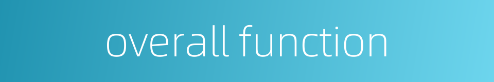 overall function的同义词