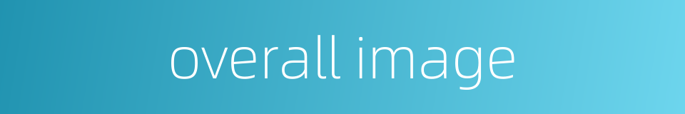 overall image的同义词