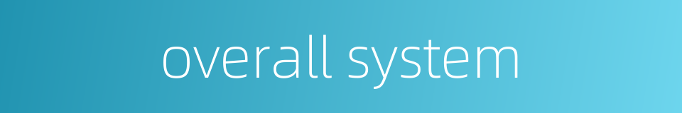 overall system的同义词