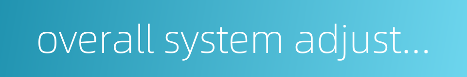 overall system adjustment的同义词