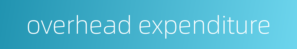 overhead expenditure的同义词