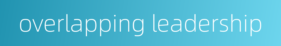 overlapping leadership的同义词