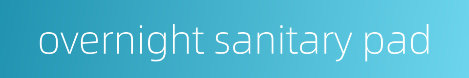 overnight sanitary pad的同义词