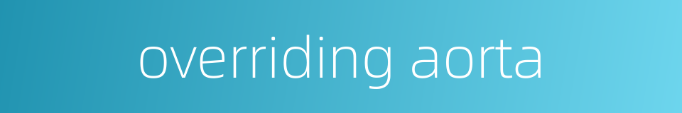 overriding aorta的同义词