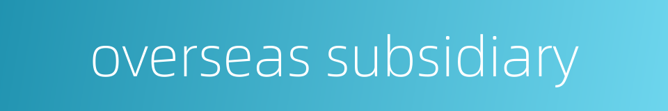 overseas subsidiary的同义词