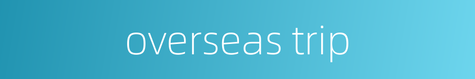 overseas trip的同义词