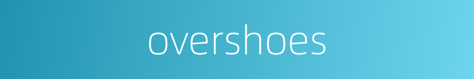 overshoes的同义词