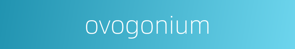 ovogonium的同义词